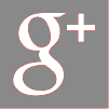 Google Plus